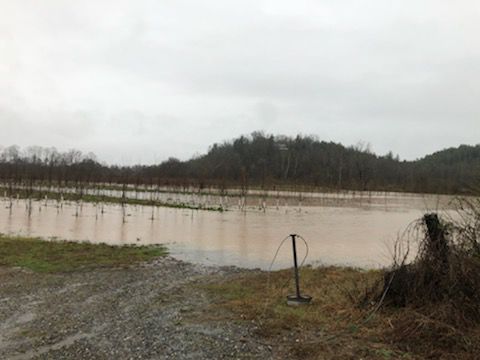 0206 CM flash flooding (30).jpg